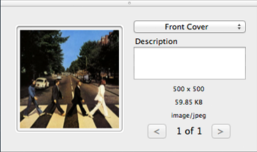 Metadatics Album Artwork Editor panel with image type menu and description field