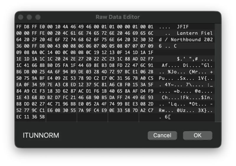 Metadatics Data Editor window showing a hex-editor view of raw tag data