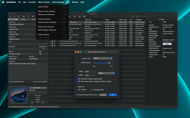 Metadatics Batch Resize Artworks window resizing embedded album artwork across a batch of audio files (Dark Mode)