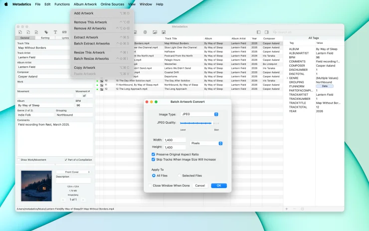 Metadatics Batch Resize Artworks window resizing embedded album artwork across a batch of audio files (Light Mode)