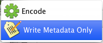Selecting Write Metadata Only from the Encode button popup