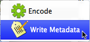Write Metadata popup under the Encode button